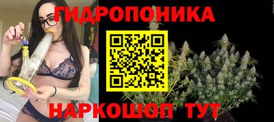 PSILOCYBIN Гусев