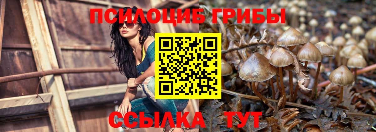 купить  сайты  Псилоцибиновые грибы Magic Shrooms  Шелехов  Вход с VPN  Псилоцибиновые грибы Psilocybine cubensis 